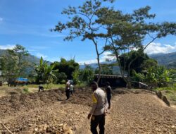 Binmas Noken, Bhabinkamtibmas Lakukan Perawatan Lahan Sayuran