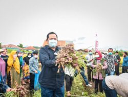 Wali Kota Padangsidimpuan Bangga Atas Pencapaian Koptan Gemilang