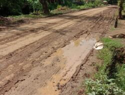 Jalan Desa Benteng,Rusak Berat Perlu Perhatian