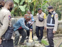 Sahabati Tani, Satuan Binmas Polres Tolikara Berikan Edukasi Pengolahan Kopi