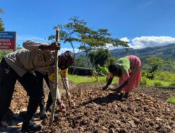 Tingkatkan Solidaritas Bersama Kelompok Tani, Bhabinkamtibmas Sambangi Aktifitas Masyarakat Yang Sedang Berkebun
