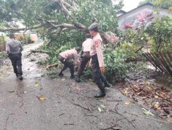 Quick Respon, Sat Samapta Polres Takalar Bantu Warga Evakuasi Pohon Tumbang