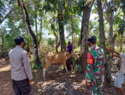 Sinergitas TNI-Polri Dalam Mencegah Penyebaran PMK di Kabupaten Takalar