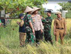 Kapolres Takalar Hadiri Giat Panen Raya Kodim 1426 Takalar