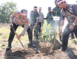 Penanaman Pohon Serentak Dalam Rangka HUT ke 78 Kemerdekaan Republik Indonesia Tahun 2023