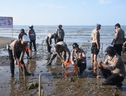 Sambut Hut Humas Polri Ke 72, Polres Bulukumba Tanam 1000 Pohon Mangrove Di Pesisir Tabbuttu.