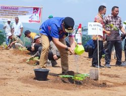 Tanam Pisang di Sinjai, Pj Gubernur Bahtiar : Rupanya Bupati Bulukumba Jadi Investor di Sinjai