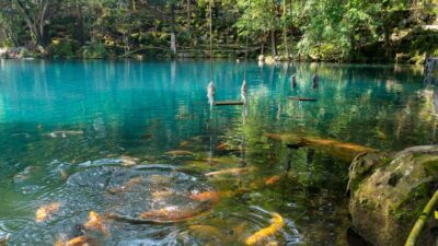 Jejak Cahaya Waisak di Telaga Biru Ciceremdongkrak Kunjungan Turis