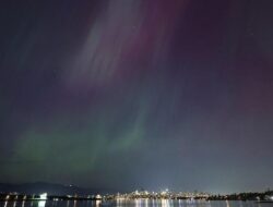 Cahaya Langit Juni: Aurora Borealis Segera Menyapa Bumi, Catat Lokasi Prima Pengamatan