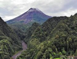 Merapi Bergemuruh, Bukit Turgo Terlarang untuk Pengunjung