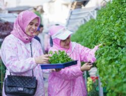 Tangan Nanal Perempuan Palembang Sulap TPS Liar Jadi Kebun Bergizi