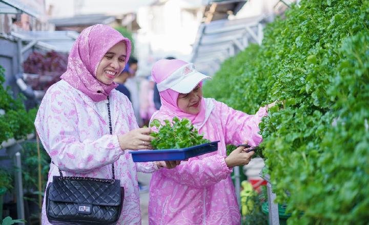 Seribu Tangan Nanal Perempuan Palembang, Sulap TPS Liar Jadi Oase Hijau Bergizi