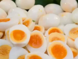 Menguak Rahasia Pencernaan: Mitos atau Fakta Protein Telur Setengah Matang