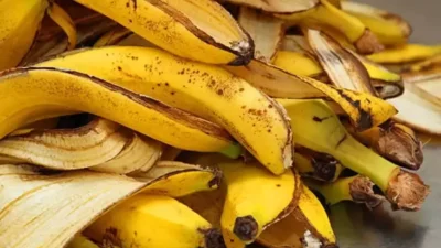 Kulit Pisang: Rahasia Terungkap, Manfaat Tepungnya untuk Tubuh yang Sehat