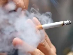 Bahaya Rokok di Hari Tanpa Tembakau: Ancaman Tersembunyi bagi Kesehatan