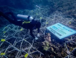 Menjaga Ekosistem Biru, BRI Lestarikan Laut dan Dongkrak Pariwisata