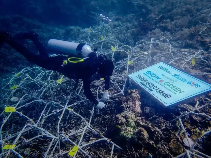 Oseanografi BRI: Melestarikan Biota Laut untuk Menopang Industri Pariwisata