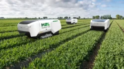 Revolusi Pertanian: Robot AI Inovatif Membantu Petani Lawan Tantangan